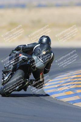 media/May-13-2023-SoCal Trackdays (Sat) [[8a473a8fd1]]/Turn 11 Backside (945am)/